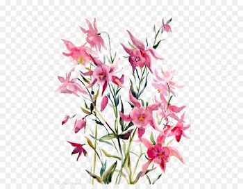 Pink Lilium Computer file - Pink lily 