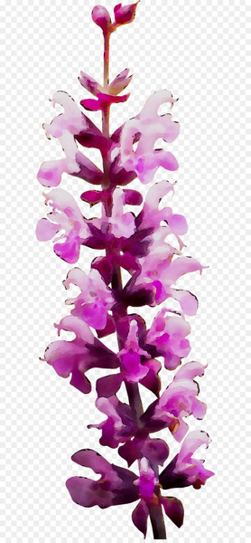 Pink M Christmas decoration Christmas Day Flowering plant RTV Pink -  