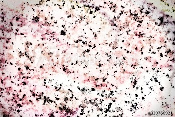 Pink marble textured background