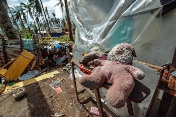 Pink Monkey Plush Toy Near Coconut Trees