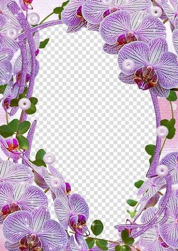 Pink moth orchid frame illustration, frame , Mood Frame transparent background PNG clipart
