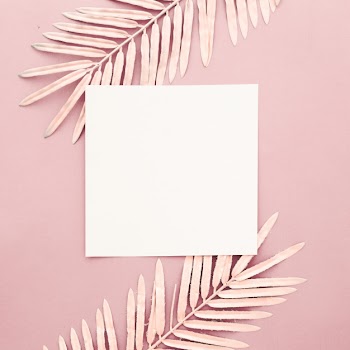 Pink palm leaves with blank frame on pink background Free Photo