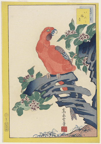Pink Parrot on RockOriginal from the Minneapolis | Free Photo - rawpixel