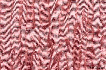 Pink patterned background