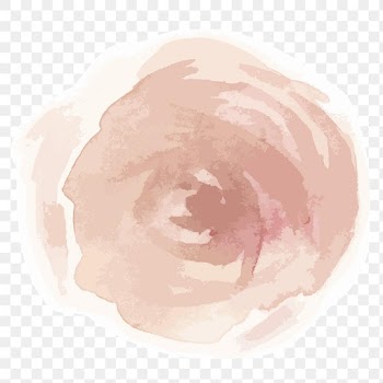Pink peony flower transparent png watercolor sticker