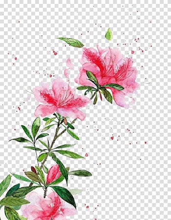 Pink peony flowers art, Watercolor: Flowers Watercolor painting Chinese art Landscape painting, Watercolor flowers transparent background PNG clipart