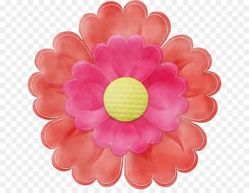pink petal flower plant gerbera