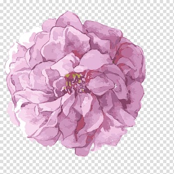 Pink petaled flower art, Watercolor painting Flower Oil painting, Hand-painted flowers,Beautiful,watercolor,Oil painting effect,Flowers,Leaves transparent background PNG clipart