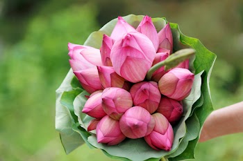 Pink Petaled Flower Bouquet