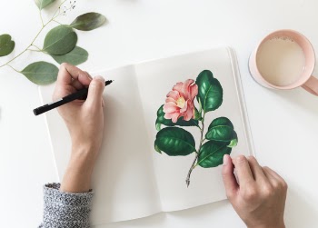 Pink Petaled Flower Drawing
