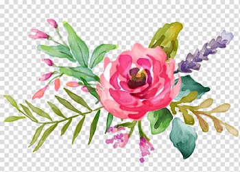 Pink petaled flower , Flower Floral design Watercolor painting, watercolor flower transparent background PNG clipart