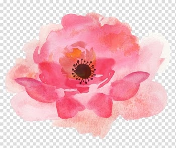 Pink petaled flower illustration, Watercolour Flowers Watercolor painting Floral design , watercolor flower transparent background PNG clipart