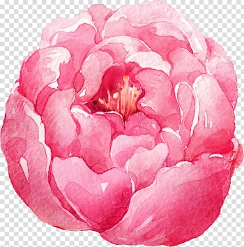 Pink petaled flower painting, Watercolor: Flowers Watercolor painting, Watercolor Flowers transparent background PNG clipart