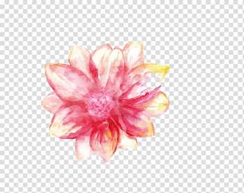 Pink petaled flower , Pink hand-painted flowers transparent background PNG clipart