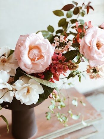 Pink Petaled Flowers