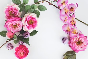 pink petaled flowers