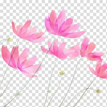 Pink petaled flowers illustration, Adobe Illustrator Watercolor painting Pastel Drawing, Ink lotus transparent background PNG clipart