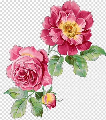 Pink petaled flowers illustration, Ink wash painting Watercolor painting Flower, Peony transparent background PNG clipart