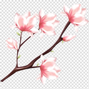 Pink petaled flowers illustration, Peach Watercolor painting, Peach blossom transparent background PNG clipart