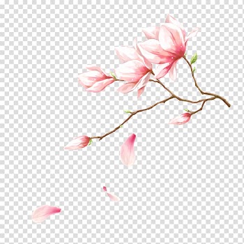 Pink petaled flowers illustration, Pink Flower, Handmade magnolia flowers transparent background PNG clipart
