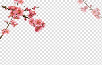 Pink petaled flowers illustration, South Korea Flower Drawing Watercolor painting Illustration, Korea Flower transparent background PNG clipart