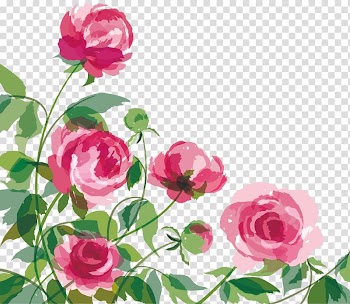 Pink petaled flowers , Watercolor painting Peony Drawing , Cartoon beautiful hand-painted peony watercolor transparent background PNG clipart