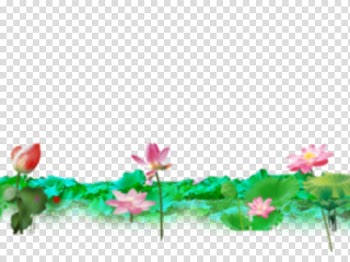 Pink petaled flowers with leaves graphic, Floral design Poster Banner , Lotus transparent background PNG clipart