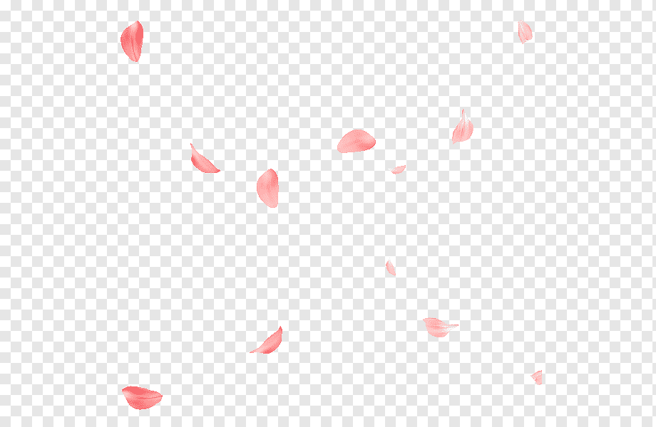 pink petals illustration, Rose Petal Flower, Rose Petals, triangle, heart, flowers png