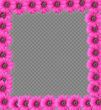 Pink Picture Frame Flower Free HD Image