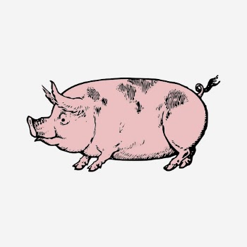 Pink pig clipart, farm animal | Free Photo - rawpixel