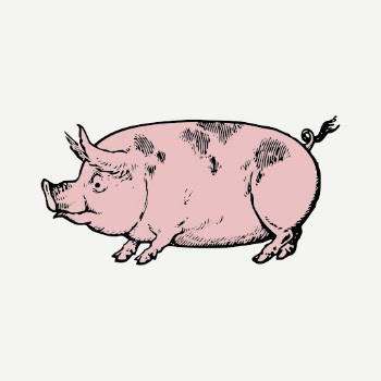 Pink pig clipart, farm animal | Free PSD - rawpixel