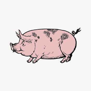 Pink pig clipart, farm animal | Free Vector - rawpixel
