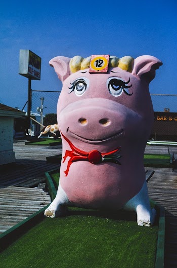 Pink pig, Joyland Golf, Daytona Beach,… | Free public domain photo