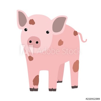 Pink pig or piglet isolated on white background