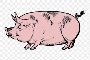 Pink pig png clipart, farm | Free PNG - rawpixel