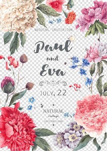Pink, red, and white flowers with text overlay, Flower Watercolor painting Illustration, Beautifully hand-painted flowers material plant transparent background PNG clipart