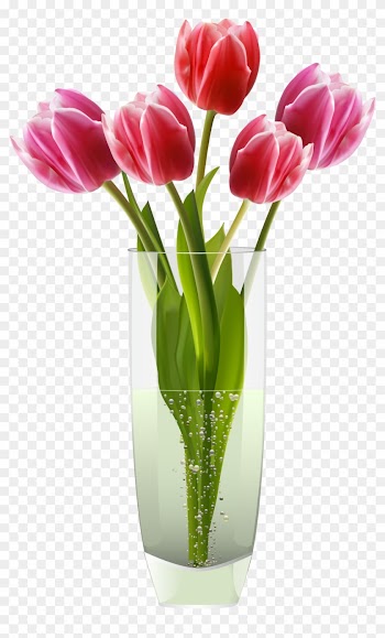Pink Red Tulips Vase Png Clipart Clipart Best Clipart - Clipart Flowers In A Vase