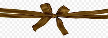 Pink ribbon Silk - Brown ribbon bow 