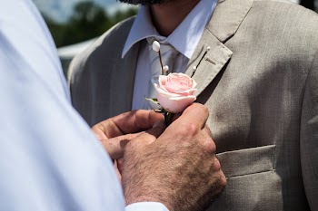 Pink Rose