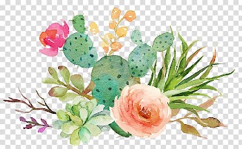 Pink rose and green succulents swag illustration, Wedding invitation Paper Succulent plant Watercolor painting Cactaceae, Beautiful flowers Sen Department transparent background PNG clipart