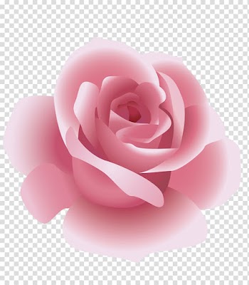 Pink rose art, Rosxe9 Rose, Pink Rose transparent background PNG clipart