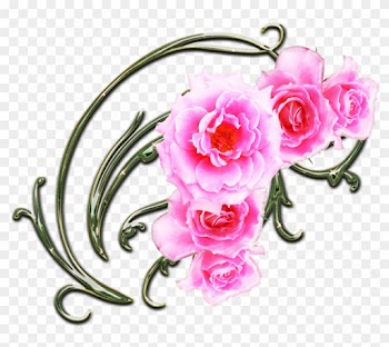 Pink Rose Border Clip Art Swirls - Hybrid Tea Rose