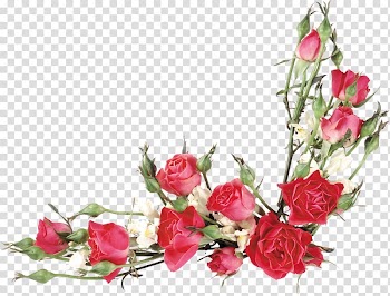 Pink rose border, Rose Flower bouquet , Floral watercolor flowers line drawing material transparent background PNG clipart