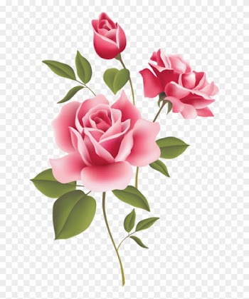 Pink Rose Borders - Pink Rose Clip Art Border