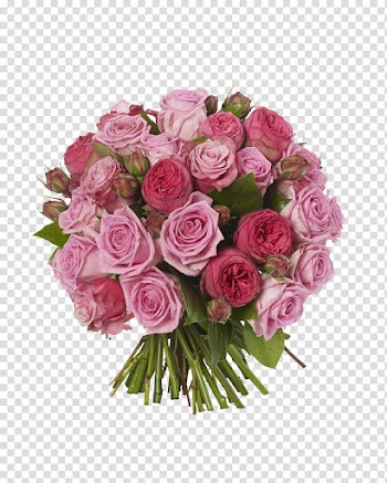 Pink rose bouquet illustration, Flower bouquet Rose Pink, Pink Roses Flowers Bouquet Free transparent background PNG clipart