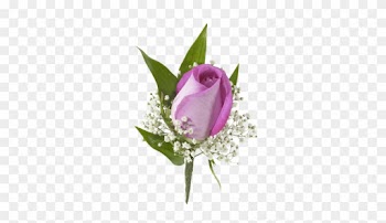 Pink Rose Boutonniere - Garden Roses