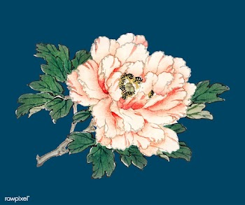 Pink rose by Kōno Bairei (1844-1895). Digita.. | Free stock vector - 467137