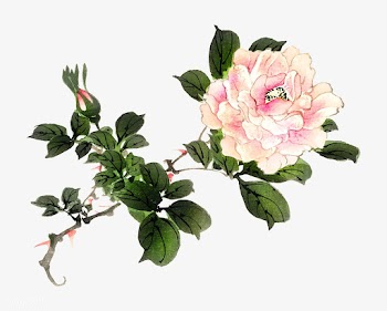 Pink rose by Kōno Bairei (1844-1895). Digita.. | Free stock vector - 467187