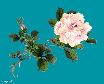 Pink rose by Kōno Bairei (1844-1895). Digita.. | Free stock vector - 467192