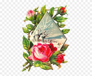 Pink Rose Clip Art - Clip Art